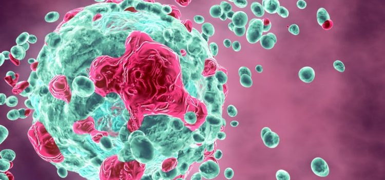 Cancer’s New Foes—Novel Oncology Approaches in the Battle Against Cancer